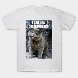 I Can Haz Cheezburger? T-Shirt